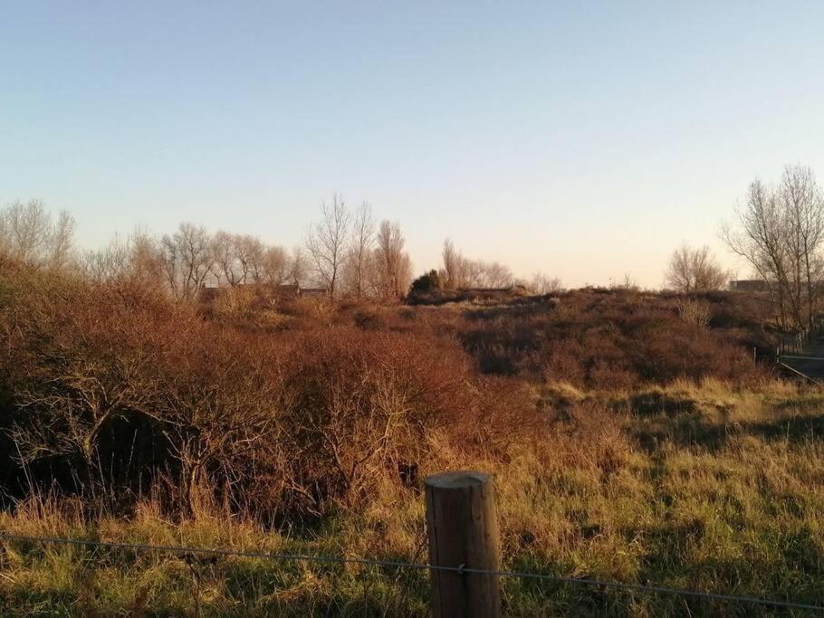 Lovely N° 9 Op Ieder Moment Een Prachtig Zeezicht & Zwembad Middelkerke Eksteriør bilde
